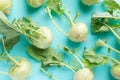 Fresh kohlrabi on green color background