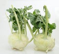 Fresh kohlrabi with green leave (Brassica oleracea L. var. caulorapa DC)