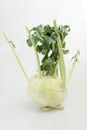 Fresh kohlrabi with green leaves (Brassica oleracea L. var. caulorapa DC)