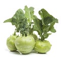 Fresh kohlrabi with green leaves