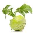 Fresh kohlrabi with green leaves