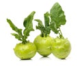 Fresh Kohlrabies Royalty Free Stock Photo