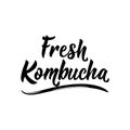 Fresh Kombucha. Vector illustration. Lettering. Ink illustration. Kombucha healthy fermented probiotic tea