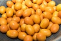 Fresh Kumquats Royalty Free Stock Photo