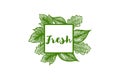 Fresh label, leaf ornament logo.