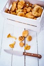 Fresh lactarius mushrooms straight from the forest in a crate and a knife on a white wooden table