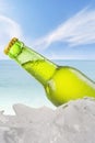 Fresh lager in the bottle with ice cube Royalty Free Stock Photo