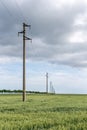 A fresh landscape of a line of electric poles with cables of electricity in a green wheat field with trees in background Royalty Free Stock Photo