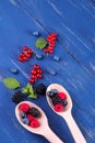 Fresh, blueberries, currants and raspberries in wooden spoons with mint stamens on a blue wooden background. Royalty Free Stock Photo