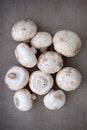 Fresh large field mushrooms Royalty Free Stock Photo