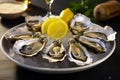 Fresh large oysters, beautifully presented with lemon slices, on a pristine white plate, an exquisite seafood delicacy