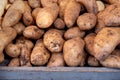 Fresh large potatoes on the farmers market