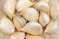 Fresh large size garlic cloves closeup