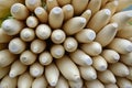 Fresh large white Radish with cut end pointing towards the camera