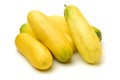 Fresh Large yellow cucumber,