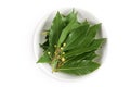 Fresh Laurel leaves in ceramic bowl isolated on white background. Green bay leaf. Top view. Flat lay Royalty Free Stock Photo