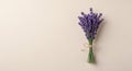 Fresh Lavender Bouquet on Soft Neutral Surface Ã¢â¬\' Floral Aroma Concept Royalty Free Stock Photo