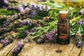 Fresh lavender and essential oil on wooden background Royalty Free Stock Photo