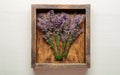 Fresh lavender flower bouquets are dried in wooden box. Bunches of lavender flowers dry. Apothecary herbs for lavender Royalty Free Stock Photo