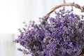 Fresh lavender flowers in basket on blurred background, closeup Royalty Free Stock Photo