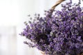 Fresh lavender flowers in basket on blurred background, closeup. Space for Royalty Free Stock Photo