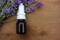 Fresh lavender flowers and bottle of essential oil on wooden table background with copy space. Homemade natural organic cosmetic. Royalty Free Stock Photo