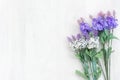 Fresh lavender flowers of spring time and sunny day on white wood table background. Royalty Free Stock Photo