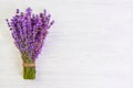 Fresh lavender flowers on white wood table background free space Royalty Free Stock Photo