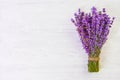 Fresh lavender flowers on white wood table background free space Royalty Free Stock Photo