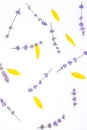 Fresh lavender flowers and yellow sunflower leaves arranged on a white background. Summer flowers mock up. Copy space