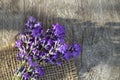 Fresh lavender over wooden Summer background