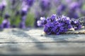 Fresh lavender over wooden Summer background