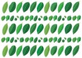 Green leaves pattern design on white background