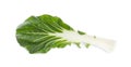 Fresh leaf of green pak choy cabbage isolated on white, top view