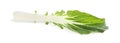 Fresh leaf of green pak choy cabbage isolated on white, top view