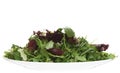Fresh leaf salad on white plate isolated