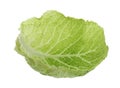 Fresh leaf of savoy cabbage isolated on white Royalty Free Stock Photo