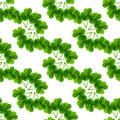 Fresh leafs clover seamless pattern Royalty Free Stock Photo