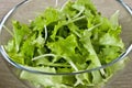 Fresh leafy green salad in a glass bowl