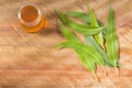 Fresh leaves and eucalyptus oil on the wooden background - Eucalyptus globulus Royalty Free Stock Photo