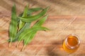 Fresh eucalyptus leaves on wooden background - Eucalyptus globulus