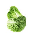 Fresh leaves of green romaine lettuce isolated on white, top view Royalty Free Stock Photo