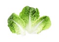 Fresh leaves of green romaine lettuce isolated on white, top view Royalty Free Stock Photo