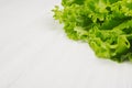 Fresh leaves green salad closeup on white wood background, copy space. Royalty Free Stock Photo