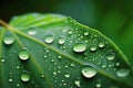 Fresh leaves moistened by dew, natural background. Ai generated