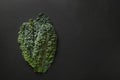 Fresh leaves of popular tuscan kale salad on black background with copy space. Royalty Free Stock Photo