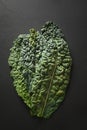 Fresh leaves of popular tuscan kale salad on black background. Royalty Free Stock Photo