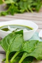Fresh leaves of spinach Royalty Free Stock Photo