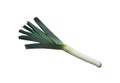 Fresh leek, green onion, isolated vegetable on the white background, healthy diet concept