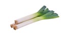 Fresh leek isolated on white background,with clipping path. Leek vegetable close up Royalty Free Stock Photo